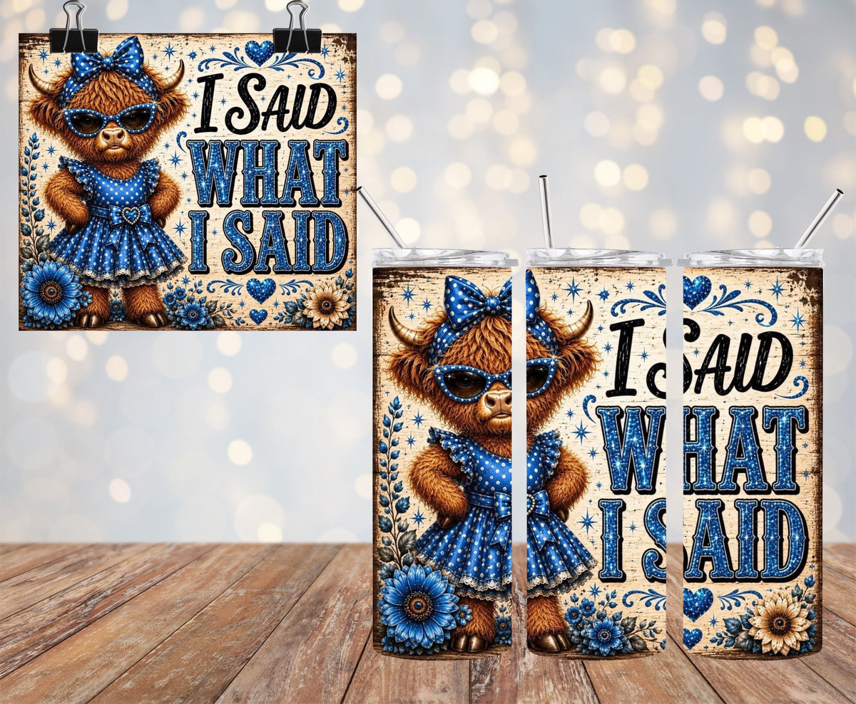 Custom I Said What I Said 20oz Tumbler